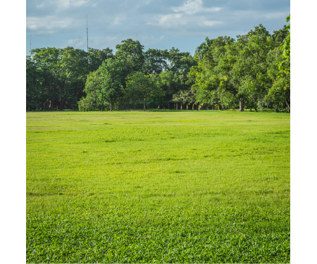 E126 EW00023
